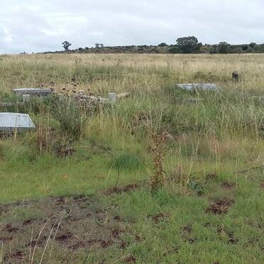 2. Overview / Oorsig