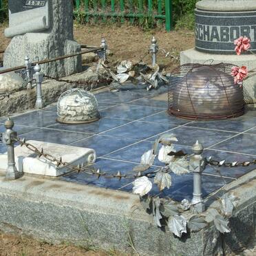 SCHABORT P.J. 1865-1942 &amp; E.A.S. BOSHOFF 1871-1925 :: SCHABORT Sibella Margaretha 1900-1902