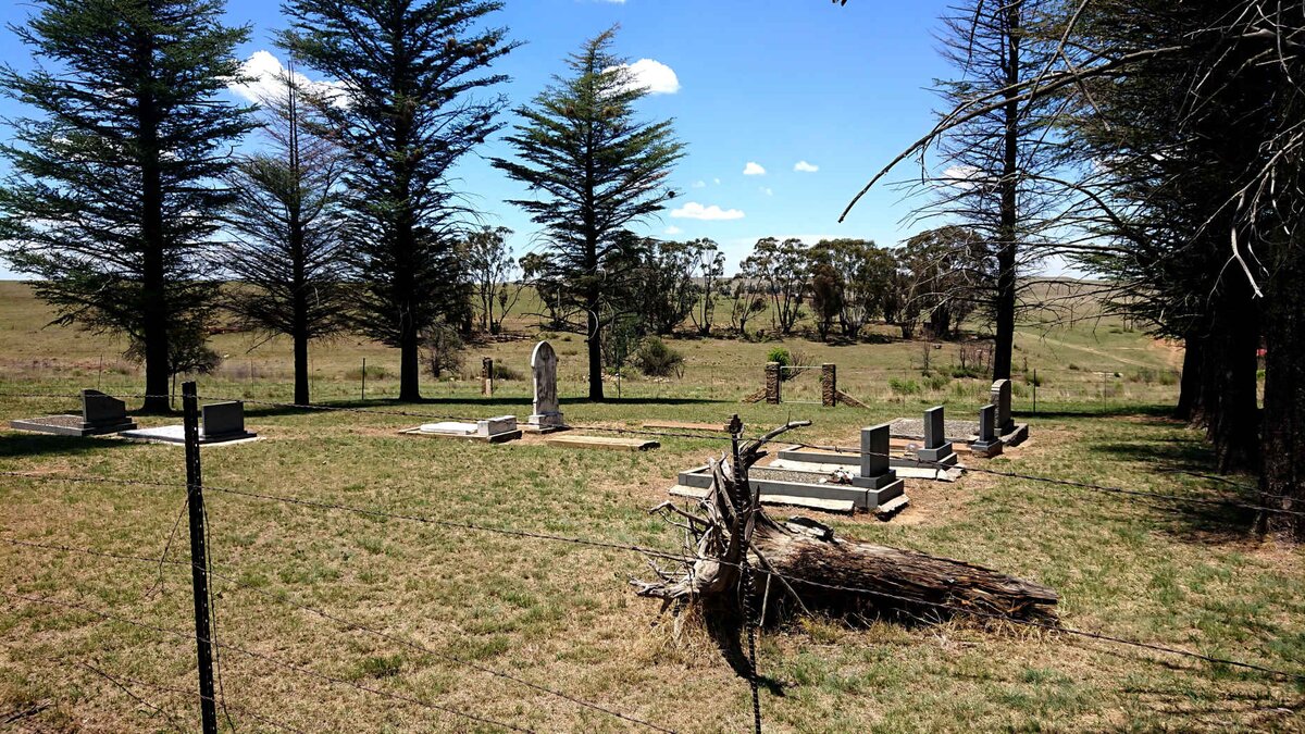 1. Overview / Oorsig