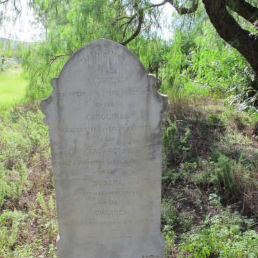 TOIT Andries, du 1879-1879 :: DU TOIT Carolina 1880-1882 :: DU TOIT Margaretha 1883-1884 :: DU TOIT Susara 1886-1887
