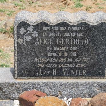 VENTER Alice Gertrude -1918