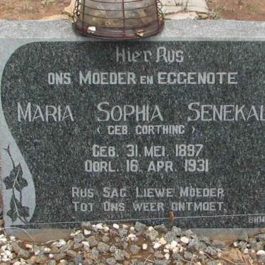 SENEKAL Maria Sophia nee CORTHING 1897-1931