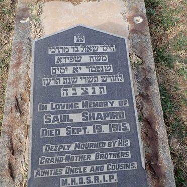 SHAPIRO Saul -1915