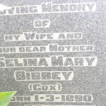 BIBBEY Selina Mary nee COX 1890-1946