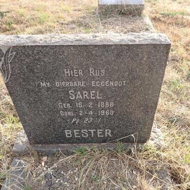 BESTER Sarel 1888-1960