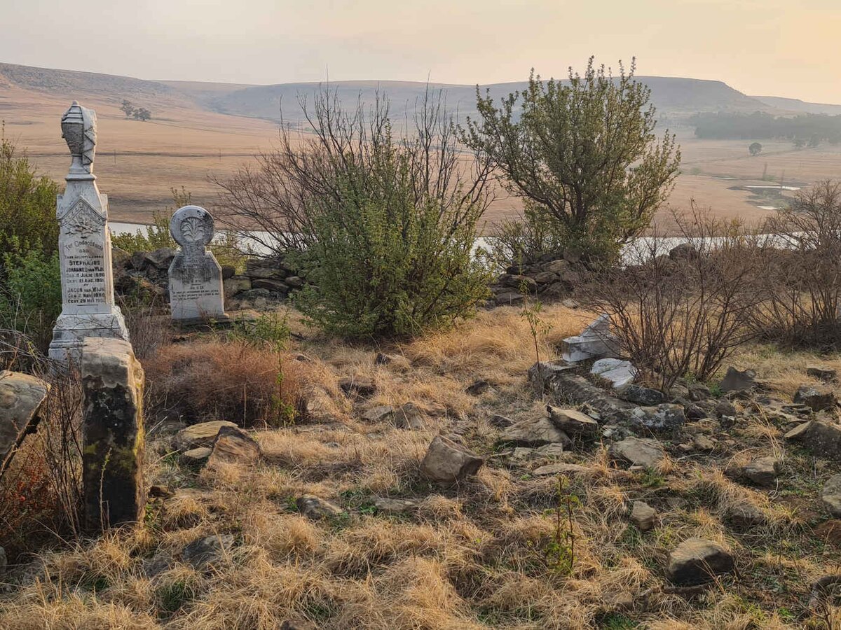 1. Overview / Oorsig