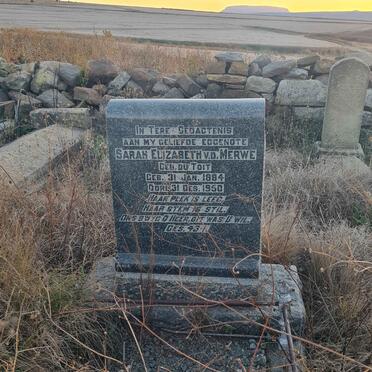 MERWE Sarah Elizabeth, v.d. nee DU TOIT 1884-1950