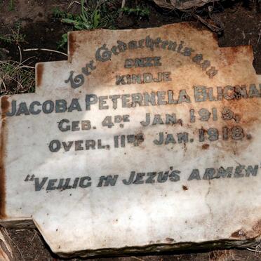 BLIGNAUT Jacoba Peternela 1915-1918