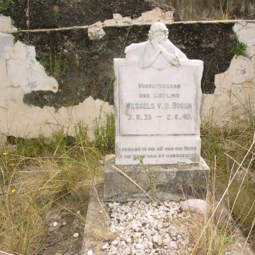 BOSCH Wessels, V.D. 1939-1943