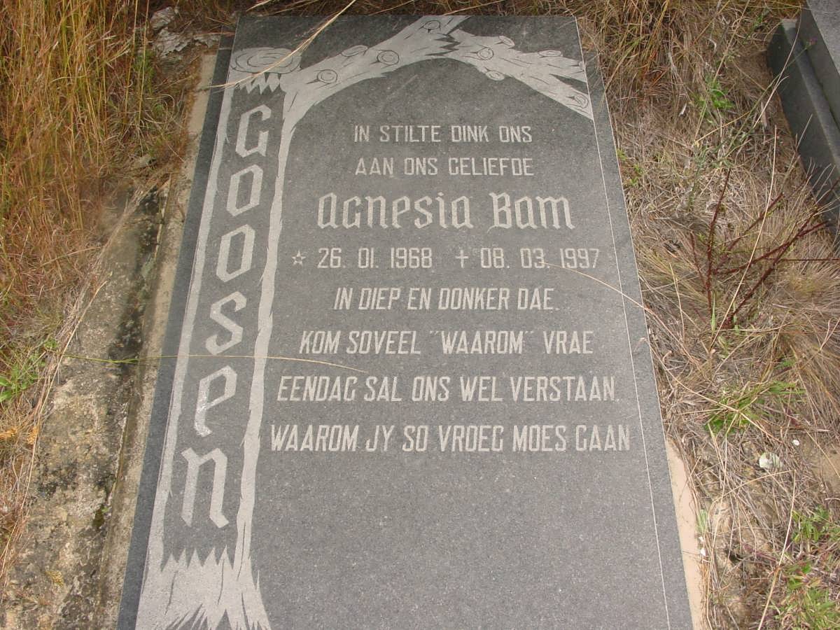 GOOSEN Agnesia Bam 1968-1997