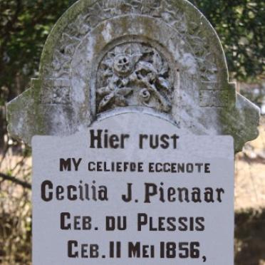 PIENAAR Cecilia J. nee DU PLESSIS 1856-1928