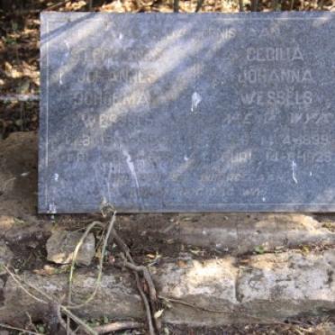 WESSELS Stephanus Johannes Schoeman 1894-1929 &amp; Cecilia Johanna nee V. WYK 1899-1928