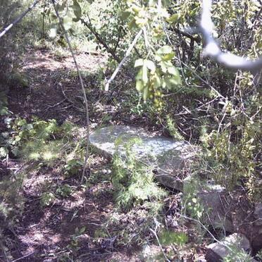 MERWE Petrus Johannes, v.d.