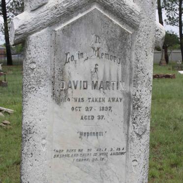 MARTIN David -1897