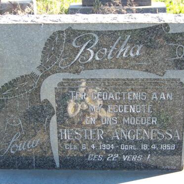 BOTHA Hester Angenessa nee LOUW 1904-1958