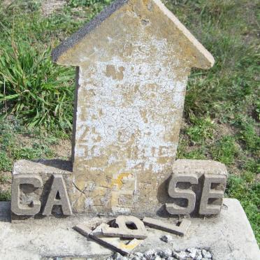 CARELSE