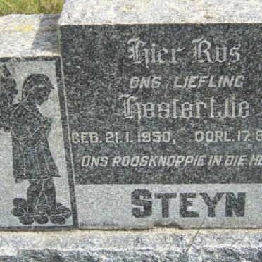 STEYN Hestertjie 1950-1952