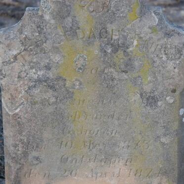 SCHROEDER 1873-1874 :: SCHROEDER Fredrik H. 1872-1876