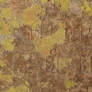 BRUIN Hendrik Johannes, de 1903-1909