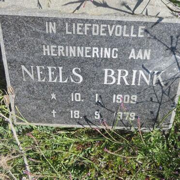 BRINK Neels 1909-1979