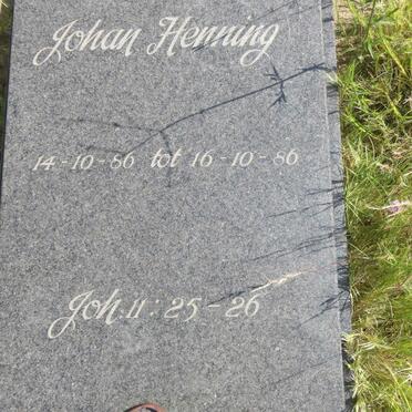 HENNING Johan 1986-1986