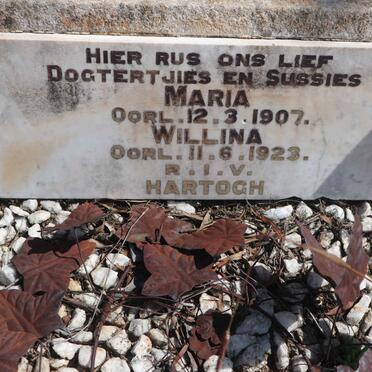 HARTOGH Maria -1907 :: HARTOGH Willina -1923