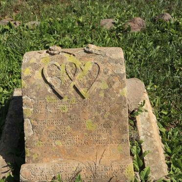 OBERHOLZER Catharina G.J.J.G. 1914-1914 :: OBERHOLZER Catharina G.J.J.G. 1920-1921