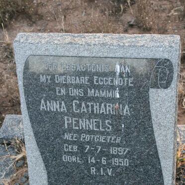 P - Vanne :: Surnames - P