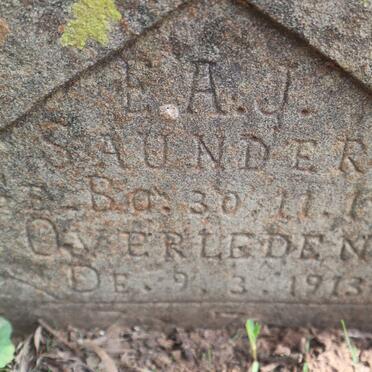 SAUNDERS E.A.J. 1911-1913