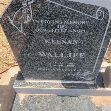 WALLJEE Keenan 2007-2008