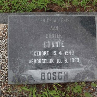 BOSCH Connie 1940-1963