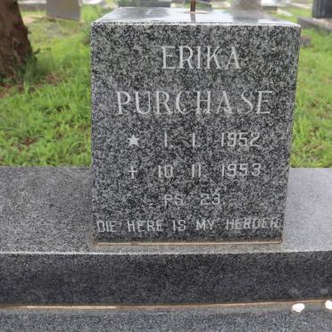 PURCHASE Erika 1952-1953