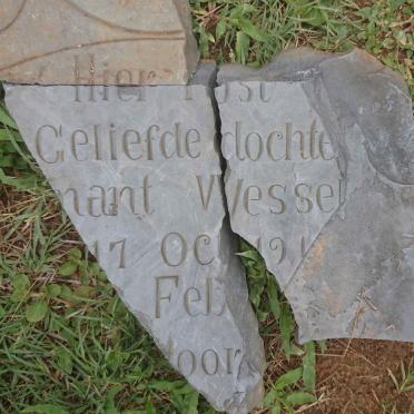 WESSELS ?nant 191?-