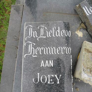 Zyl Joey, van 1940-2010