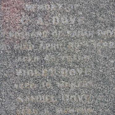 DOVE ? A. -1892 :: DOVE Voilet  :: DOVE Samuel