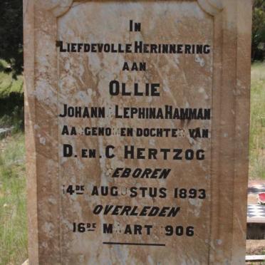 HAMMAN Johanna Lephina 1893-1906