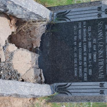 PIENAAR Susanna Gesina nee VAN TONDER 1889-1950