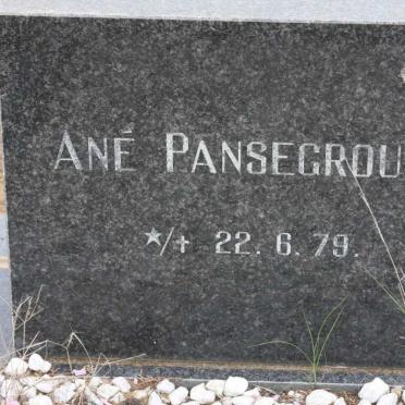 PANSEGROUW Ané 1979-1979