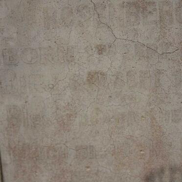 ROSENBERG Anna Magretha 1842-