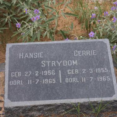 STRYDOM Gerrie 1955-1965 :: STRYDOM Hansie 1956-1965