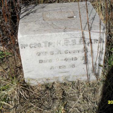 BEARE H.E.S. -1902