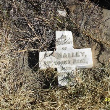 MALLEY