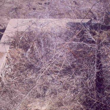 2. Unknown :: Illegible