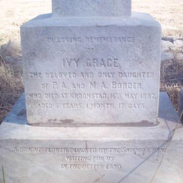 BORDER Ivy Grace -1887