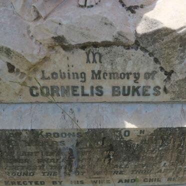 BUKES Cornelis -1920