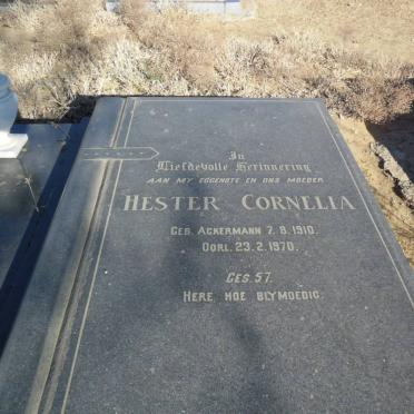 BOTHA Hester Cornelia nee ACKERMANN 1910-1970
