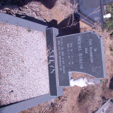 STEYN Michael Barend 1963-1976