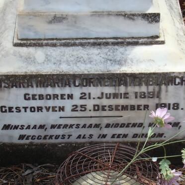 TERBLANCHE Susara Maria Cornelia 1891-1918 _2