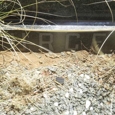 BURGER Pieter 1895-1974 &amp; Christina C. FOURIE 1897-1973