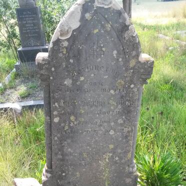 WALT Hester Sophia, v.d. nee DUVENHAGE 1842-1910